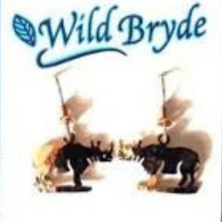 Wild Bryde Rhino Earrings Full Body, Whimsical - Unofficial Africa Collector's Guide