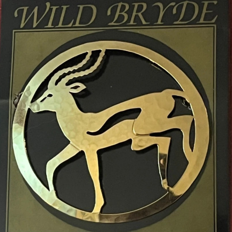 Wild Bryde Antelope Brooch Framed, Full Body - Unofficial Africa Collector's Guide