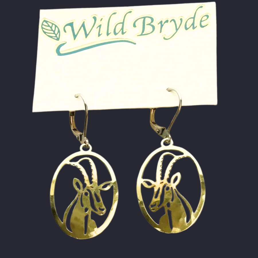 Wild Bryde Antelope Earrings Framed, Face Only - Unofficial Africa Collector's Guide