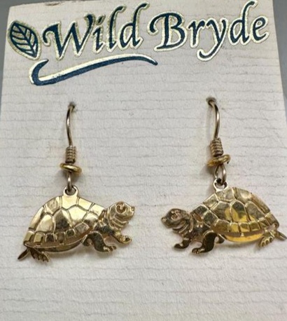 Wild Bryde Turtle Earrings Full Body, Species Ambiguous, Theme Overlap - Unofficial Rainforest Collector's Guide