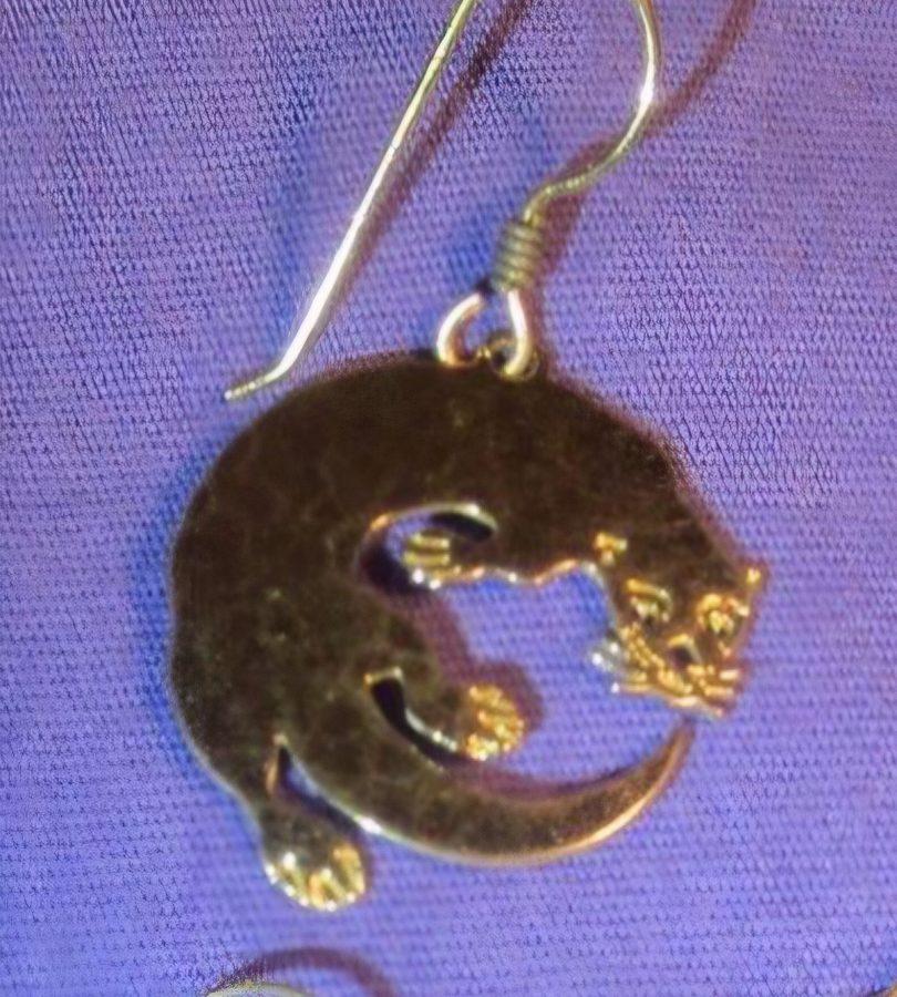 Wild Bryde Giant Otter Earrings Full Body, Species Ambiguous - Unofficial Rainforest Collector's Guide