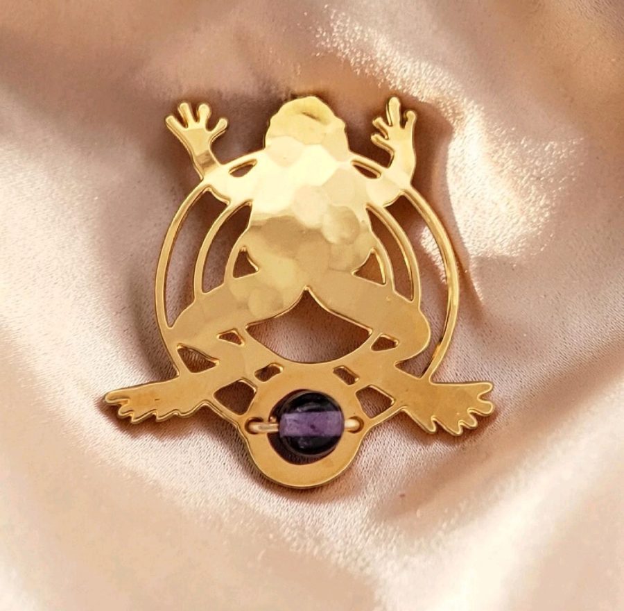 Wild Bryde Frog Earrings, Pin Full Body, Landscape, Hallmark Photo - Unofficial Rainforest Collector's Guide
