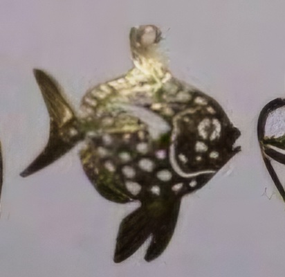 Wild Bryde Spotted Moonfish Pendant Full-Body, Whimsical, Species Ambiguous - Unofficial Wild Bryde Collector's Guide