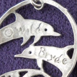 Wild Bryde Bottlenose Dolphin Earrings, Pendant Full-Body, Framed, Landscape - Unofficial Wild Bryde Collector's Guide