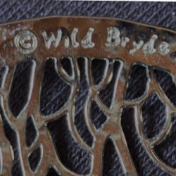 Wild Bryde Butterflyfish Brooch Full-Body, Landscape, Naturalistic - Unofficial Wild Bryde Collector's Guide