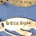 Wild Bryde King Penguin Earrings Full-Body, Whimsical, Species Ambiguous - Unofficial Wild Bryde Collector's Guide
