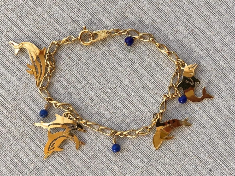 Wild Bryde Striped Dolphin Bracelet Full-Body, Species Ambiguous, Species Photo - Unofficial Wild Bryde Collector's Guide