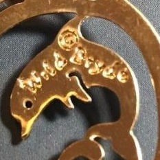 Wild Bryde Bottlenose Dolphin Necklace Full-Body, Framed, Whimsical - Unofficial Wild Bryde Collector's Guide
