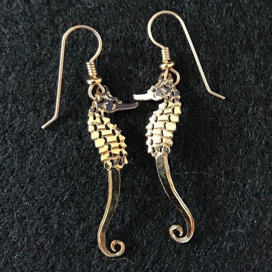 Wild Bryde Seahorse Earrings, Brooch, Pendant Full-Body, Hallmark Photo, Species Photo - Unofficial Wild Bryde Collector's Guide