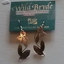 Wild Bryde Orchid Earrings Landscape, Species Photo - Unofficial Wild Bryde Collector's Guide