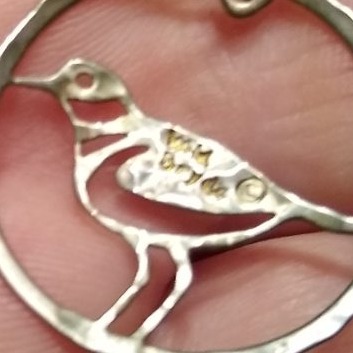 Wild Bryde Plover Earrings Full-Body, Framed, Hallmark Photo - Unofficial Wild Bryde Collector's Guide