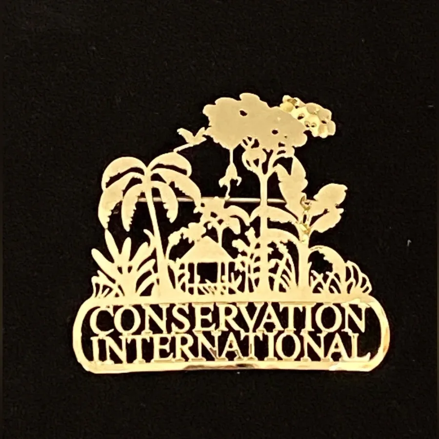 Wild Bryde Conservation International Brooch Landscape, Whimsical, Theme Overlap - Unofficial Wild Bryde Collector's Guide