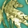 Wild Bryde Coyote Earrings Full-Body, Landscape, Framed - Unofficial Wild Bryde Collector's Guide