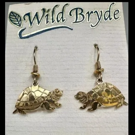 Wild Bryde Box Turtle Earrings Full-Body, Species Photo - Unofficial Wild Bryde Collector's Guide
