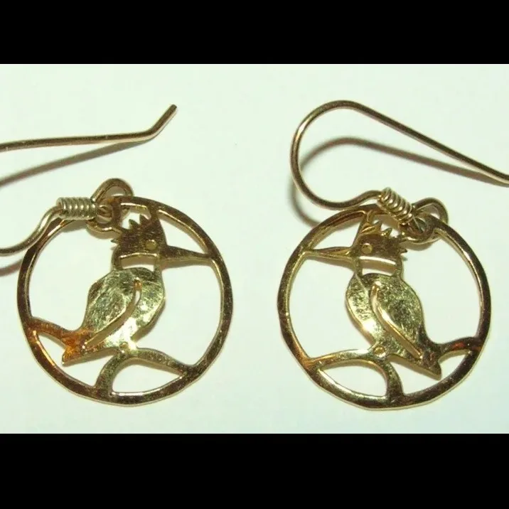 Wild Bryde Belted Kingfisher Earrings Full-Body, Framed, Hallmark Photo - Unofficial Wild Bryde Collector's Guide