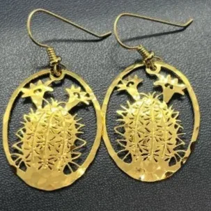 Wild Bryde Barrel Cactus Earrings Landscape, Hallmark Photo, Species Photo - Unofficial Wild Bryde Collector's Guide