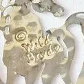 Wild Bryde Horse Brooch Full-Body, Dangles or Articulation, Pairs and Families - Unofficial Wild Bryde Collector's Guide