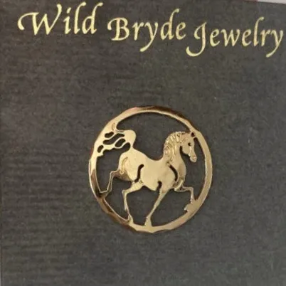 Wild Bryde Horse Pin Full-Body, Framed - Unofficial Wild Bryde Collector's Guide
