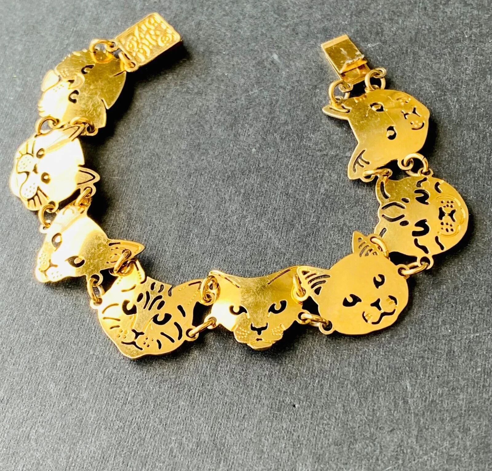 Wild Bryde Persian & Burmese & Siamese & Somali & Abyssinian & Scottish Fold & Maine Coon & Cat Bracelet Face Only, Whimsical - Unofficial Wild Bryde Collector's Guide