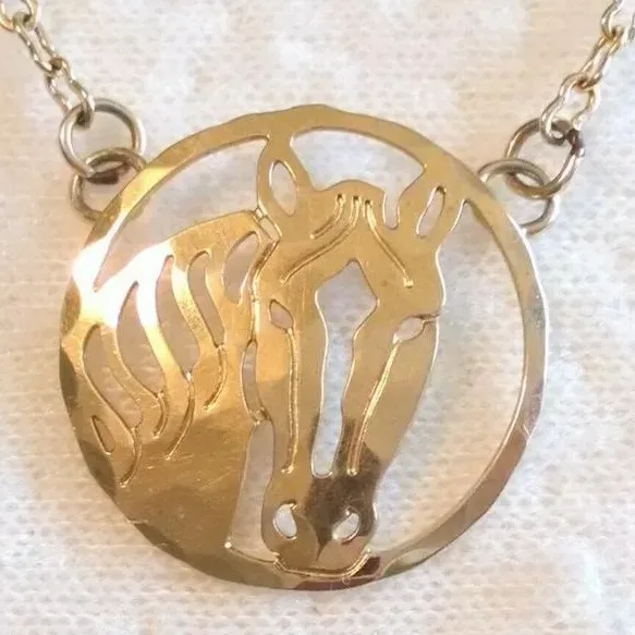 Wild Bryde Horse Pendant Face Only, Framed - Unofficial Wild Bryde Collector's Guide