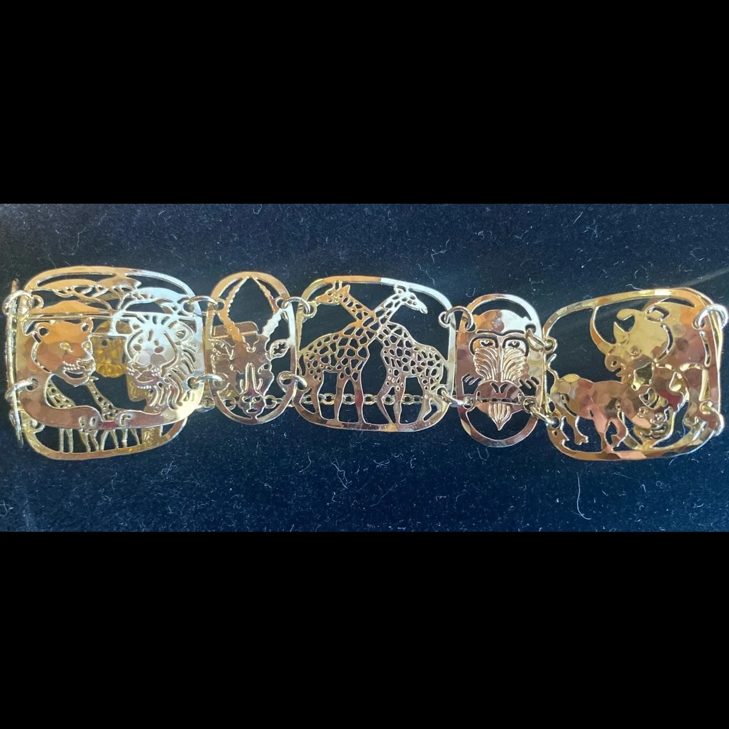 Wild Bryde Elephant & Giraffe & Zebra & Lion & Rhino & Antelope & Monkey Bracelet Framed, Full-Body, Pairs and Families - Unofficial Wild Bryde Collector's Guide