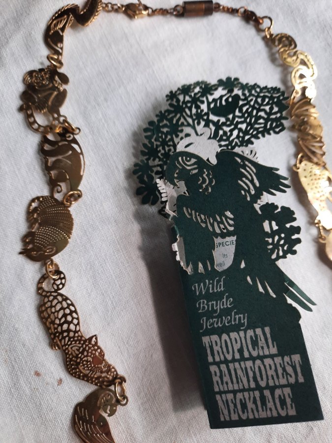 Wild Bryde Rainforest Guide collection photo